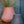 Belle Planter - Small