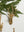 E+E Ornament Collection