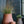 Belle Planter - Large