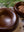 Dark Walnut Serving Bowl