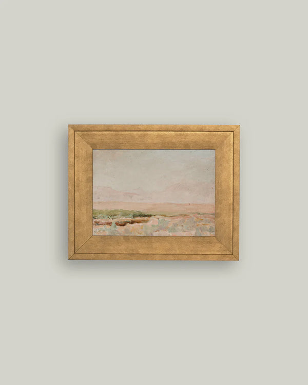 Pink Desert