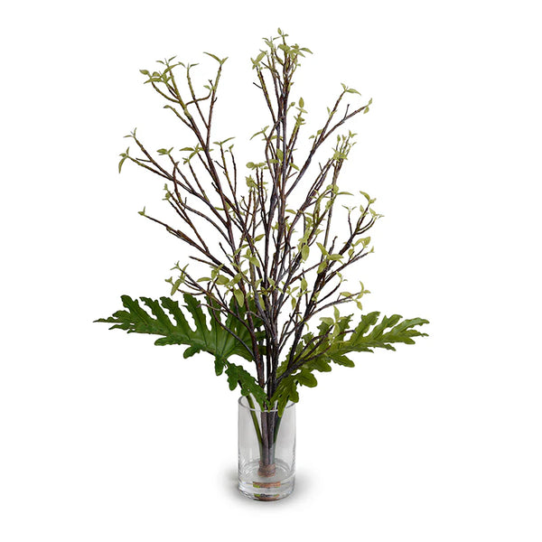 Ficus & Philodendron Selloum Branches