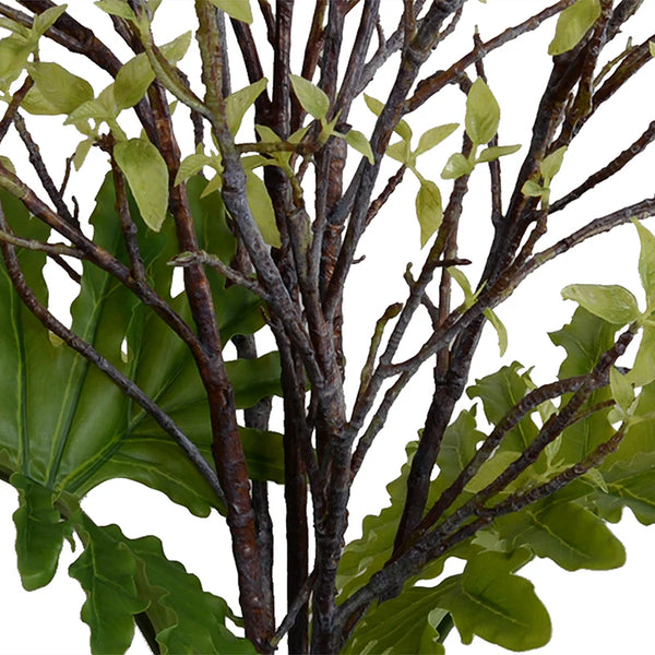 Ficus & Philodendron Selloum Branches