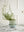 Spring Pot with Saucer