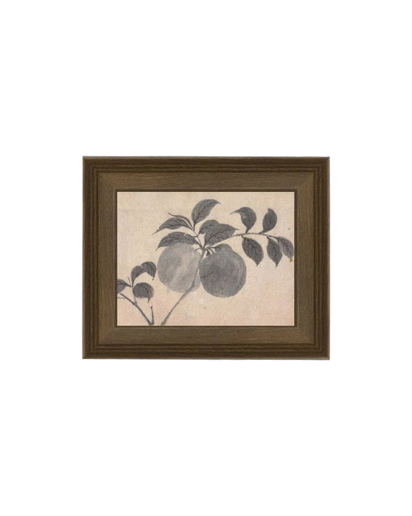Branch of Fruit Bearing Tree Framed Antique Art