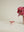 Love Cupcake Stand