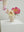 Bobbi Compote