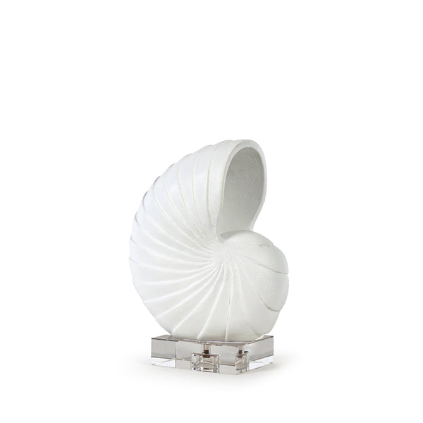 Nautilus Shell Small