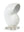 Nautilus Shell Large