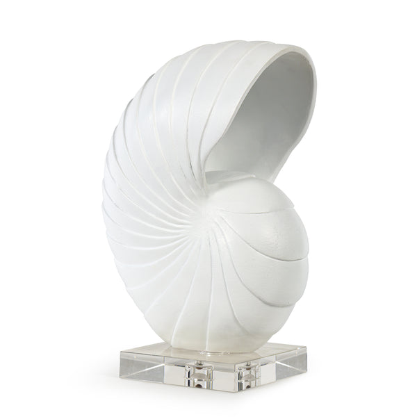 Nautilus Shell Large