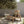 Dorothy Outdoor Chair