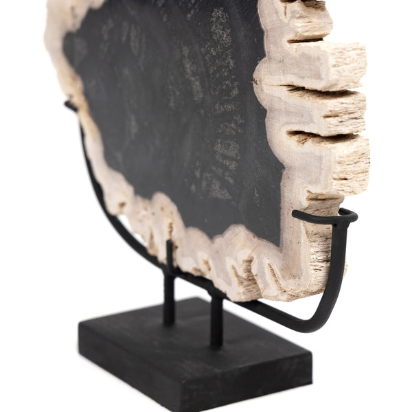 Petrified Wood on Stand