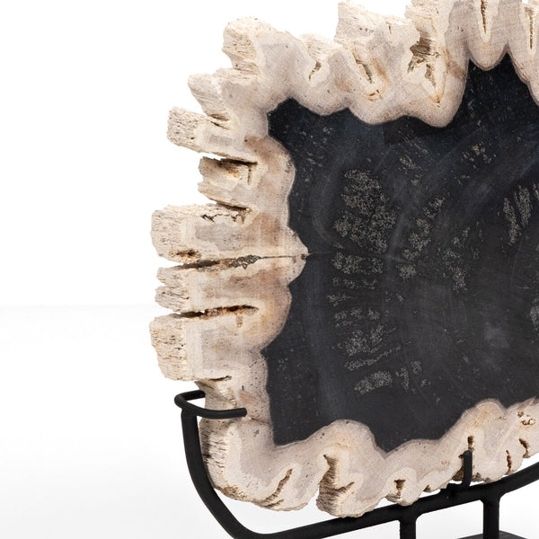 Petrified Wood on Stand