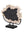 Petrified Wood on Stand