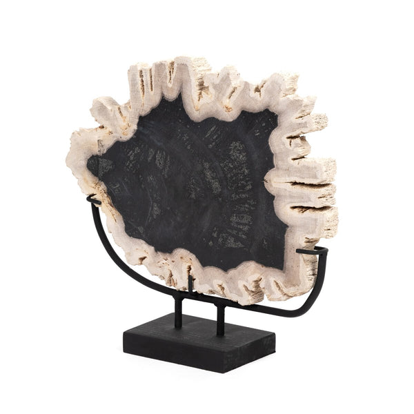 Petrified Wood on Stand