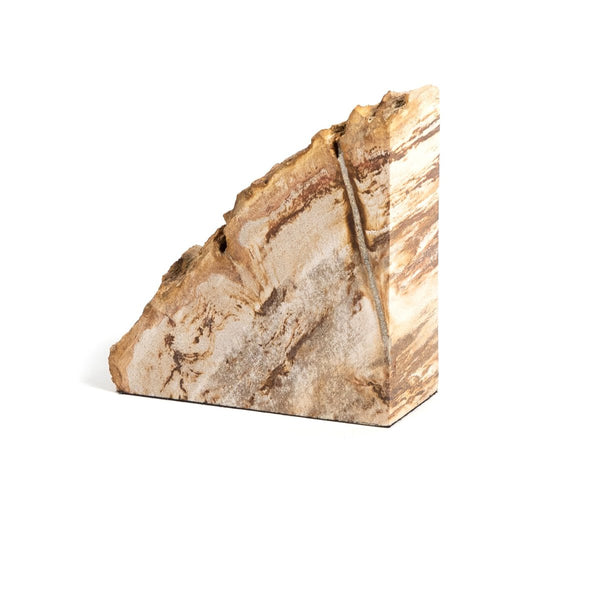 Petrified Wood Book Ends - Set of 2
