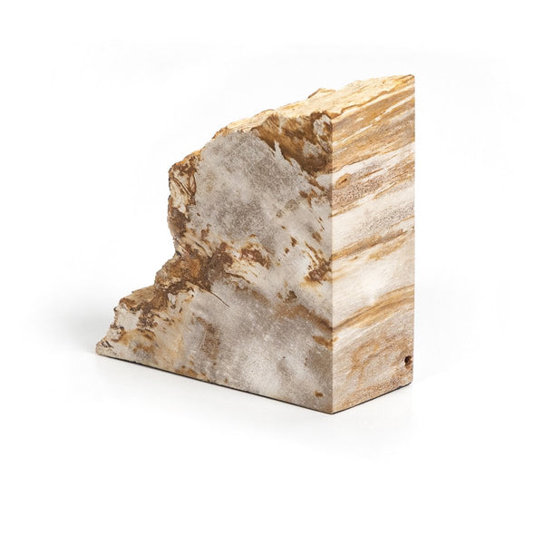 Petrified Wood Book Ends - Set of 2