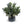 Olive Branches and Lace Berry Arrangement