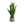 Snake Plant