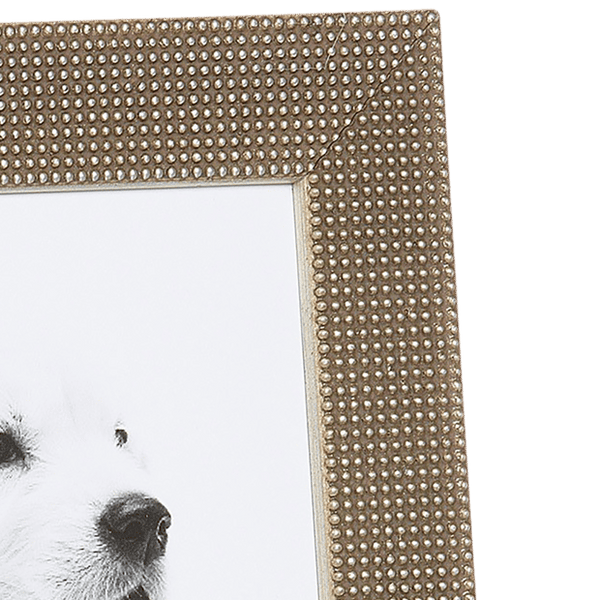 Silver Leaf Picture Frame