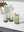 Floret Water Glass