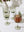 Floret Wine Glass