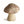 Weathered Garden Mushroom Large