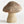 Weathered Garden Mushroom Large