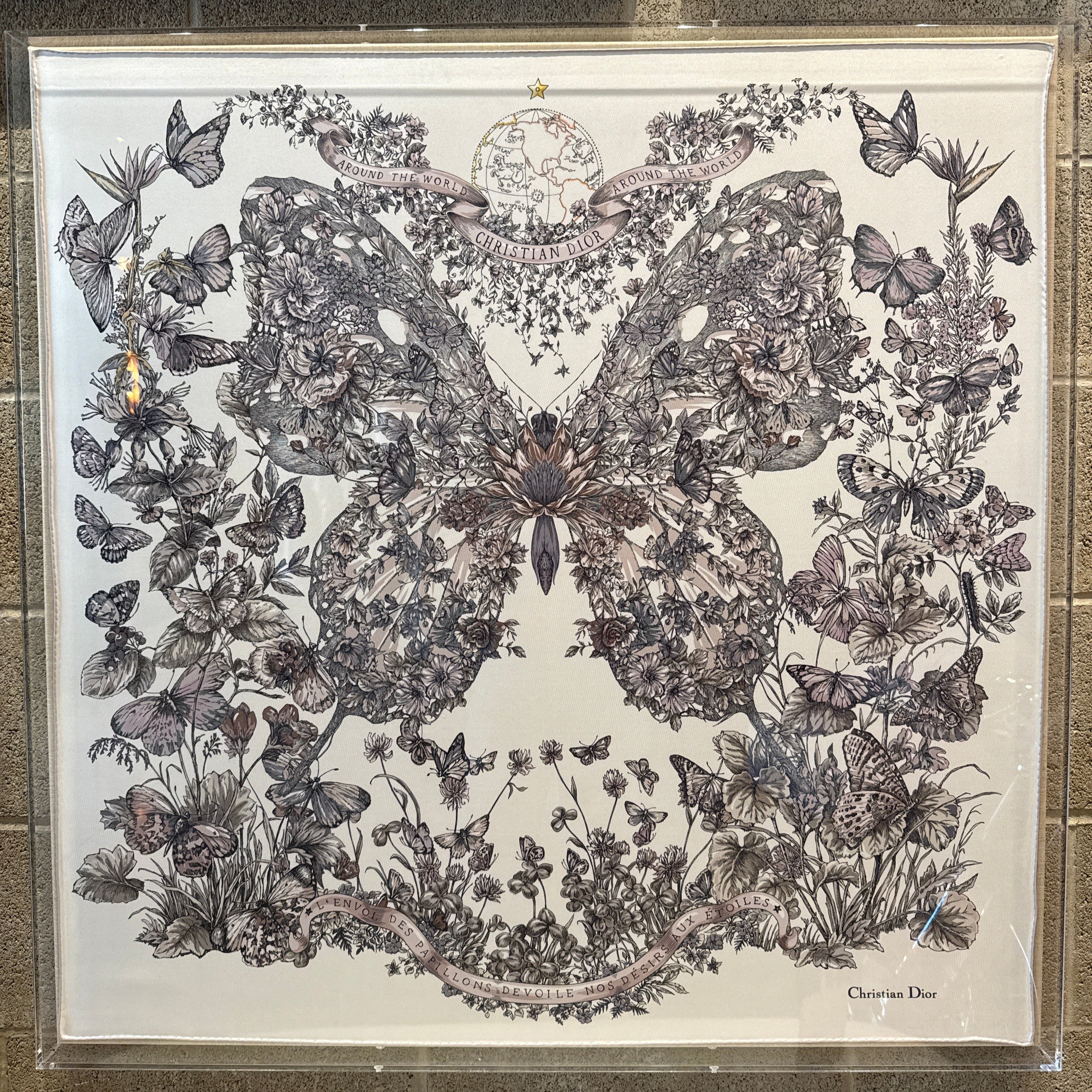 Christian Dior Butterfly Around the World Scarf Shadowbox