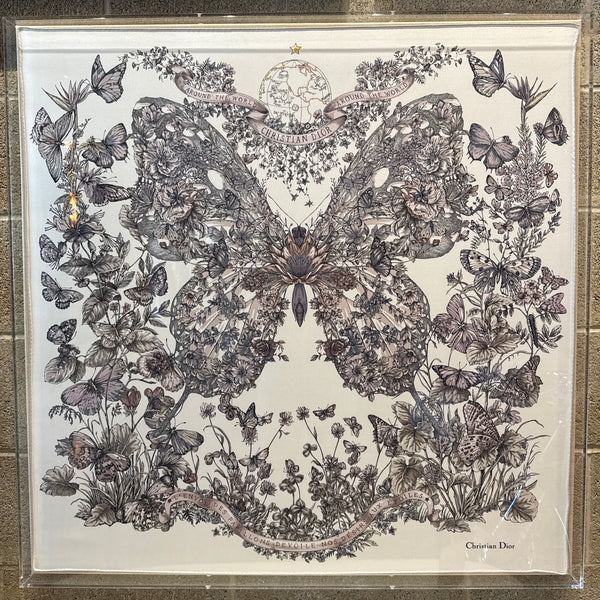 Christian Dior Butterfly Around the World Scarf Shadowbox