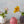 Gloss Budvase