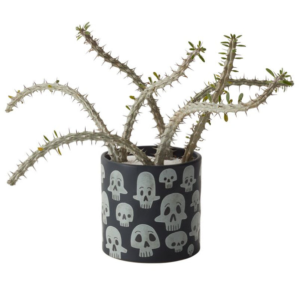 Skull Pot