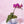 Flower Pot
