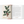 A Garden Eden. Masterpieces of Botanical Illustration.