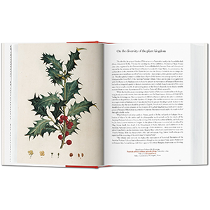 A Garden Eden. Masterpieces of Botanical Illustration.