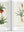 Redoute: The Book of Flowers