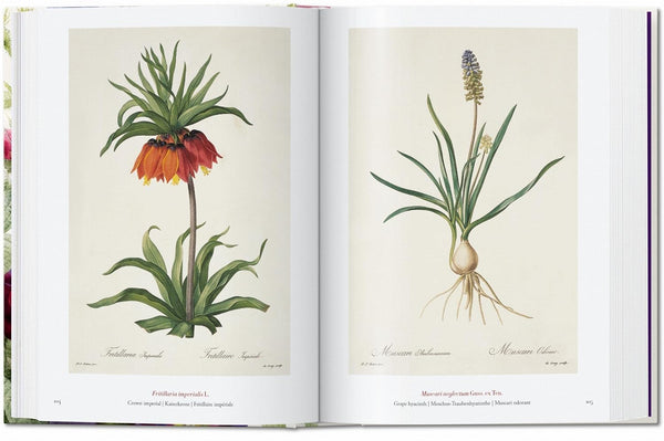 Redoute: The Book of Flowers