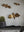 Winged Bat Wall Decor - Set of 3