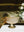 Gold Scalloped Bowl