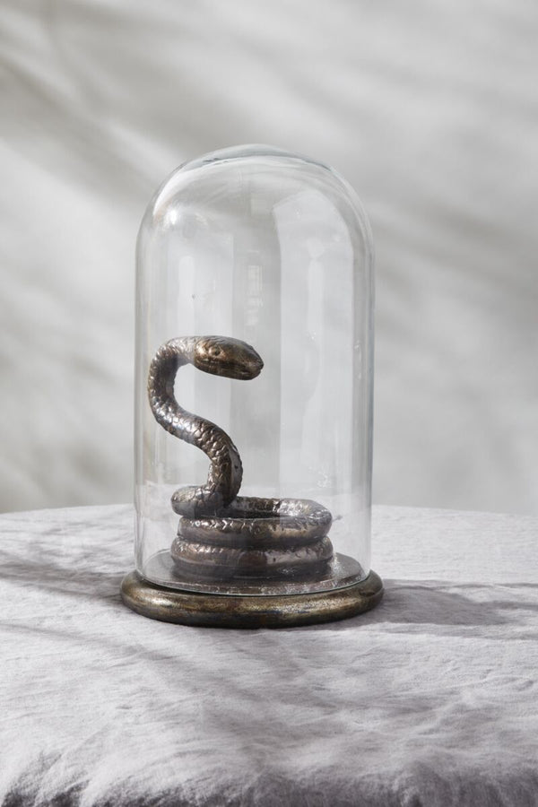 Spooky Snake Jar