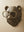 Beatrice Wall Mount