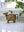 Water Buffalo Decor
