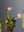 Flower Sculpture Vase