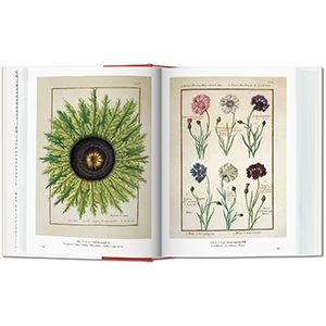 A Garden Eden. Masterpieces of Botanical Illustration.