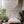 Sanctuary