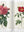 Redouté. The Roses (Pocket Edition)