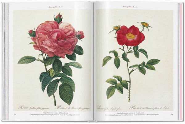 Redouté. The Roses (Pocket Edition)