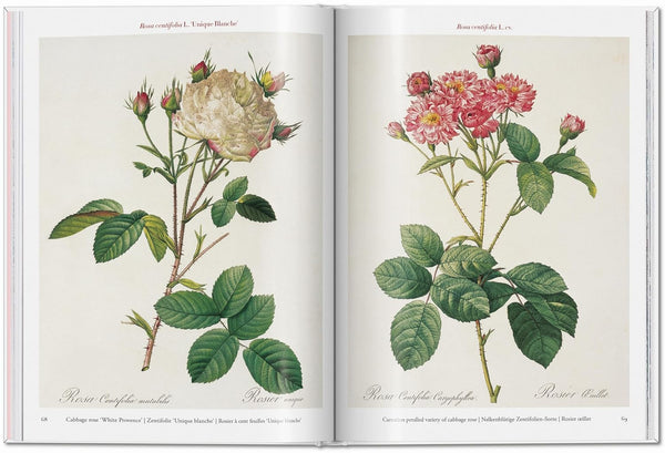 Redouté. The Roses (Pocket Edition)