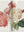 Redouté. The Roses (Pocket Edition)