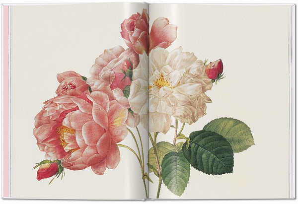 Redouté. The Roses (Pocket Edition)